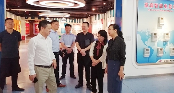 青田县组织部长金志红调研918博天堂园区党总支